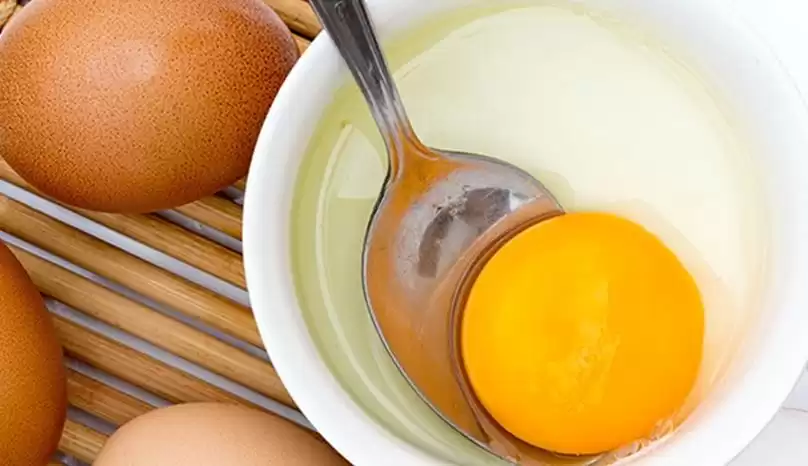 Waspada! Jangan Beli Telur Harga Murah, Bisa Jadi Telur Infertil Ini Dampak Bagi Kesehatan