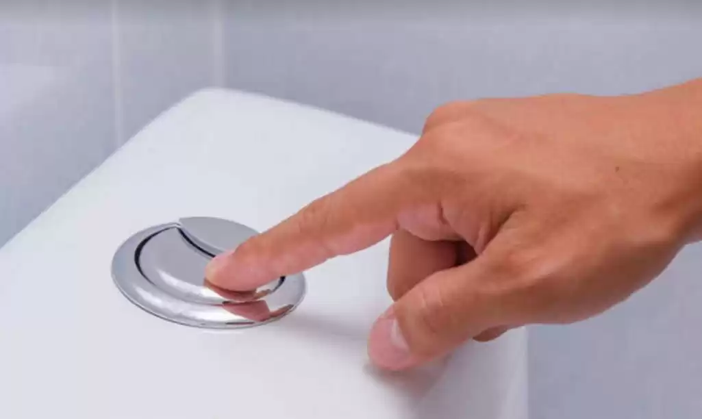 Terdapat 2 Tombol di Kloset Duduk, Ternyata Ini Fungsinya