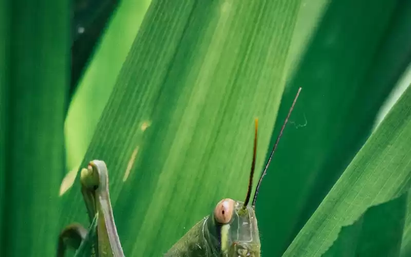 10 Aplikasi Teknologi Terbaru Yang Sangat Membantu