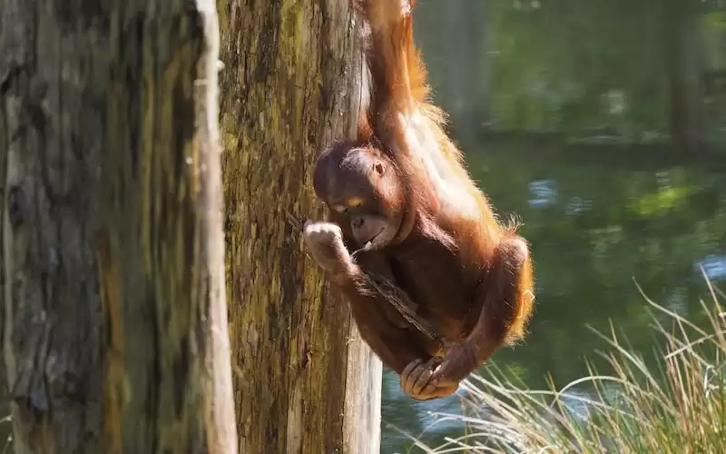 10 Fakta Menarik Tentang Teknologi Yang Tidak Diketahui Orang Banyak