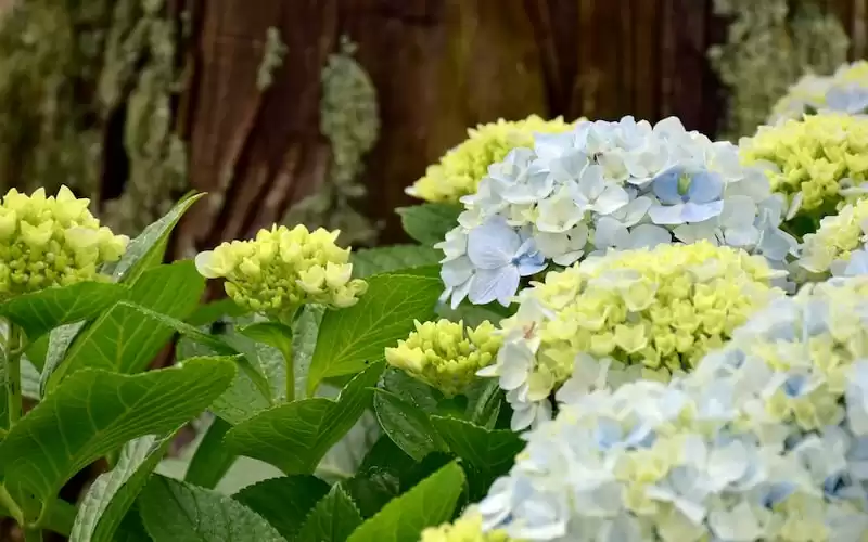 Ini yang Harus Anda Ketahui tentang BPJS Ketenagakerjaan