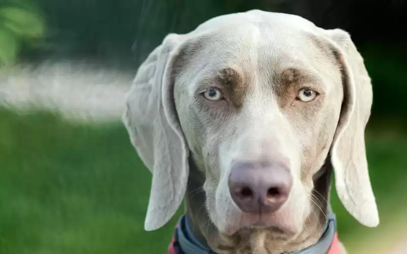 Kumpulan Ide Foto Bookeh untuk Pemula di Ziarah Kubur