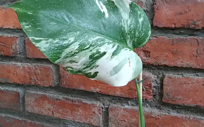 10 Manfaat Luar Biasa Berolahraga Secara Teratur