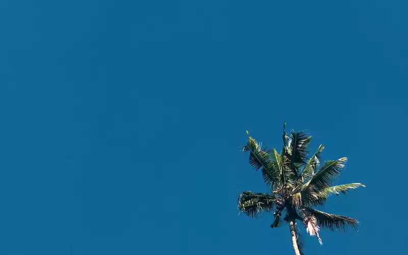 10 Tempat Wisata Tersembunyi di Indonesia yang Wajib Dikunjungi