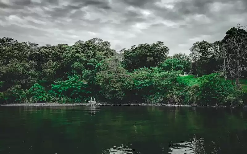 5 Tips Sukses Membangun Karir Impian Anda