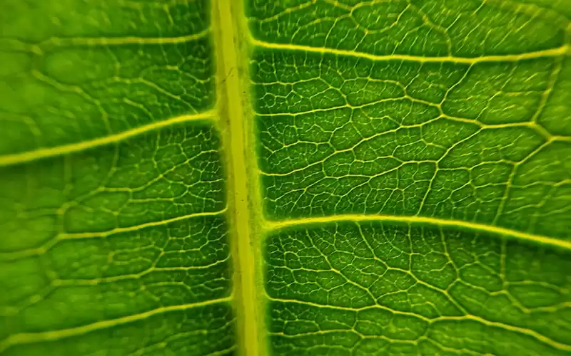 7 Tantangan yang Dihadapi oleh Profesional Muda dalam Memulai Karir Baru