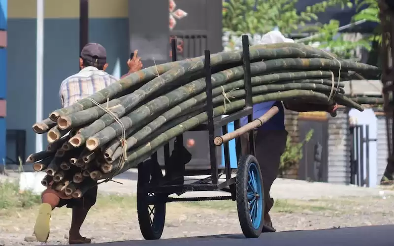 Fiksi Sebagai Sarana Pencerahan: Mengapa Banyak Penulis Lebih Memilih Fiksi Daripada Nonfiksi?