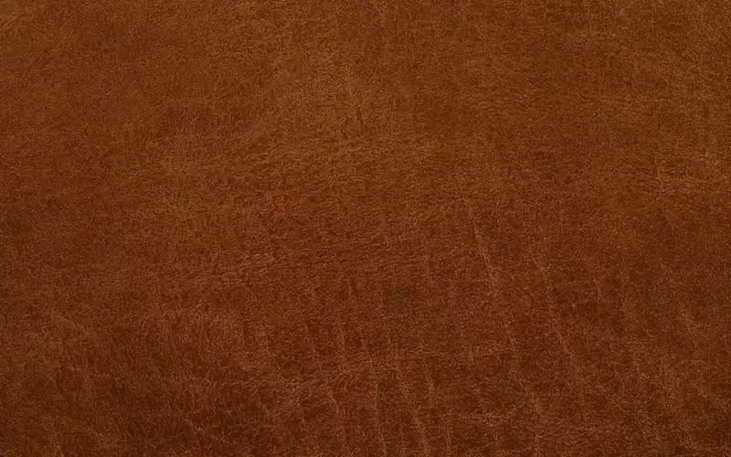 Millie Bobby Brown Engages with Miami Heat and Elizabeth Holmes at Great Lakes Conference: Insights from Jeff Okudah