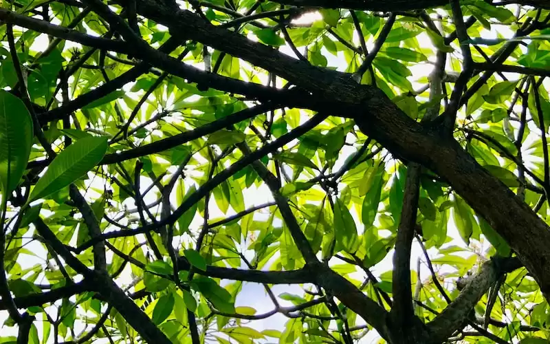 Pentingnya Etika Politik dalam Membangun Kepemimpinan yang Kuat