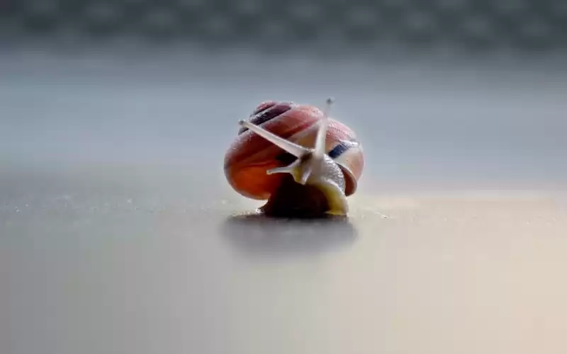 10 Tips Hemat Backpacker Saat Berlibur ke Luar Negeri