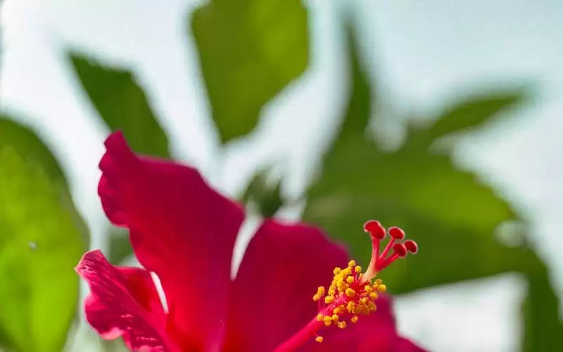 Apa itu Sistem Pengereman Otomatis? Bagaimana Sistem Ini Bekerja?