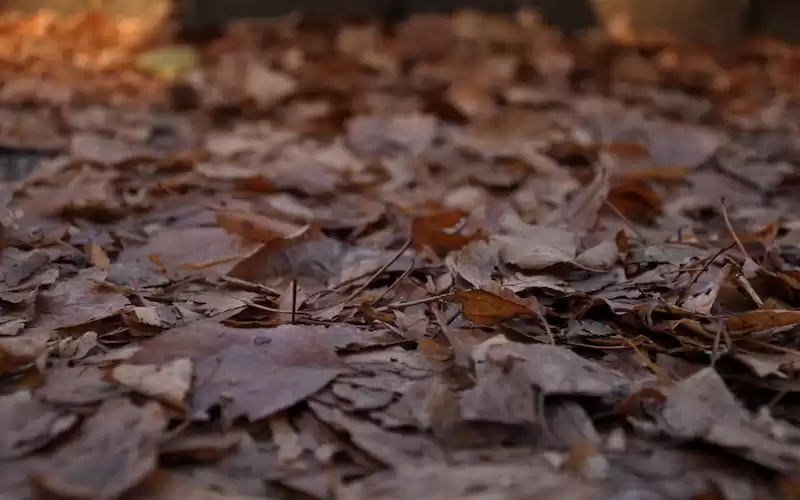 Inilah 5 Teknik Dasar untuk Meningkatkan Kemampuan Bermain Bola