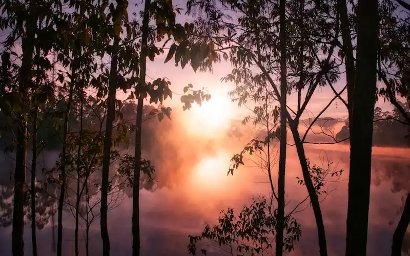 Mendalami Nilai-Nilai Sosial dalam Upacara Adat di Indonesia
