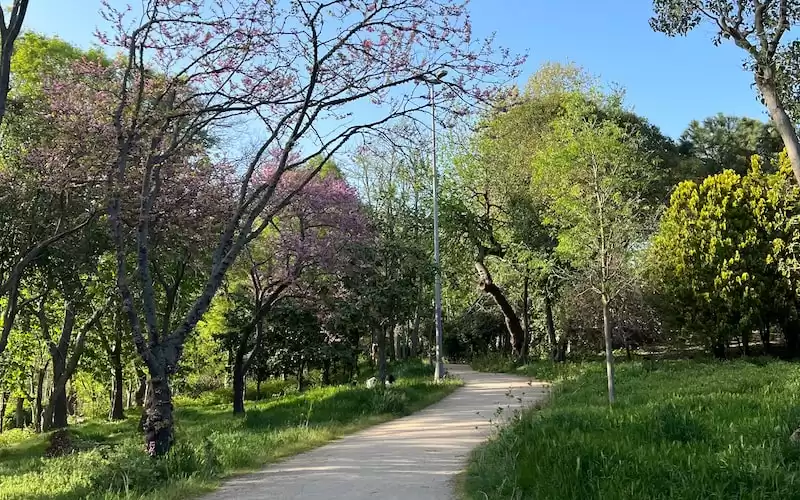 Mengapa Demokrasi Harus Dijaga: Risiko dan Ancaman yang Mengintai