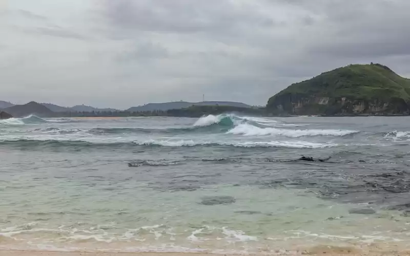 Mengenal Lebih Dekat Kawasan Wisata Alam Tanjung Puting