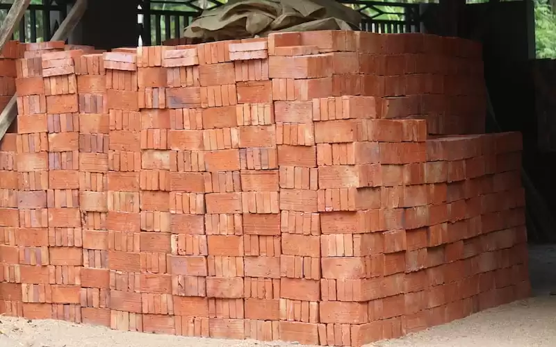 Mengenal Mahalini: Tanaman Obat Tradisional yang Menyehatkan Tubuh