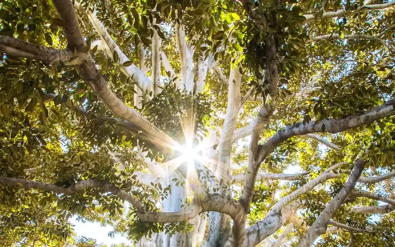 MP Board 10th Result 2023: Know the Latest Updates and Check Your Scorecard Here!