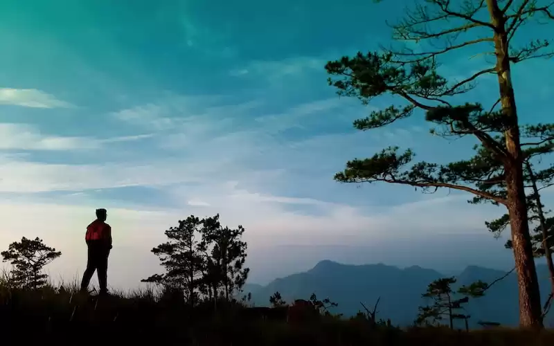 Panduan Backpacker: Menjelajahi Wisata Alam di Pegunungan Jayawijaya