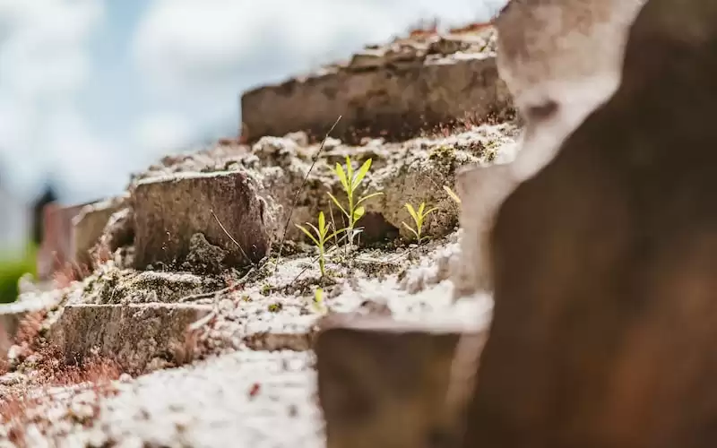 The Force is Strong with Matty Healy: Celebrating May the 4th with The 1975 Frontman
