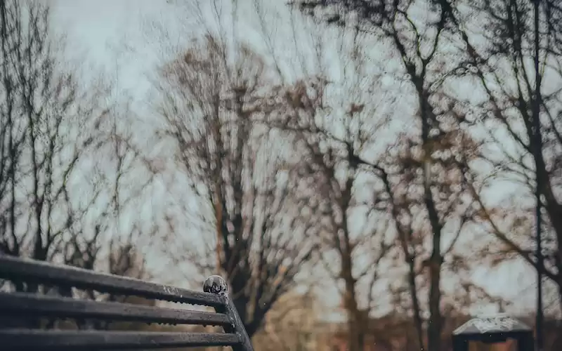 The Rise of Stockport County: A Look at the Club's Journey to Success