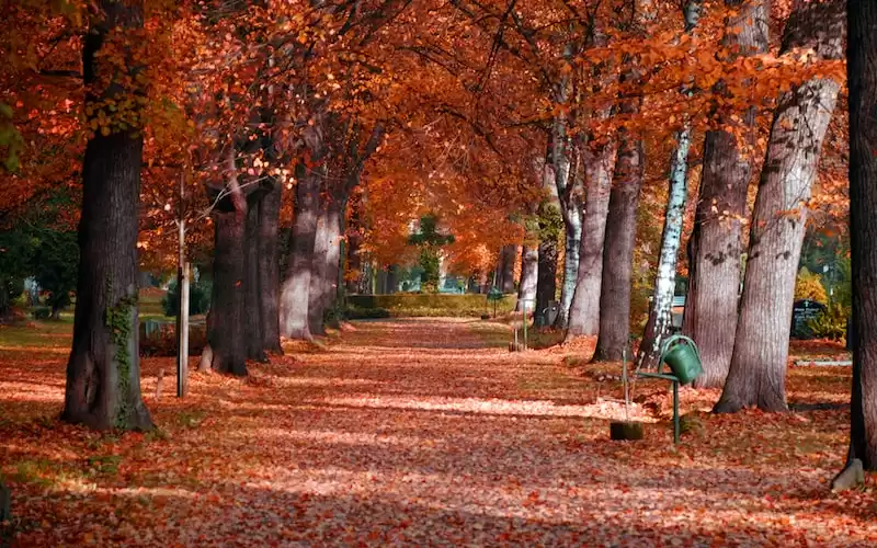 Tips Membaca Novel dengan Efektif: Bagaimana Meningkatkan Pemahaman Anda?