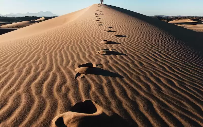 From Die Hard to That 70's Show: Exploring the Versatility of Bruce Willis and Danny Masterson's Acting Abilities