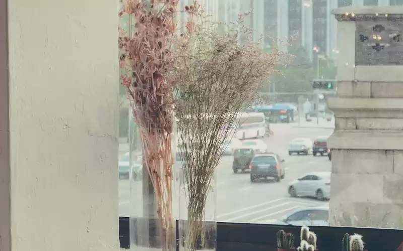 Jisoo BLACKPINK: Menggali Fakta Menarik Mengenai Visual Cantik dari Korea Selatan