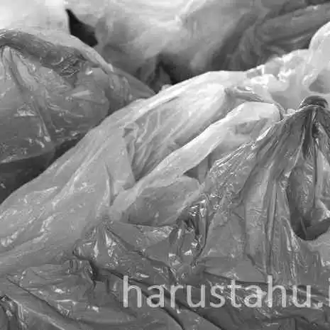 Ditemukan Bakteri Pemakan Sampah Plastik