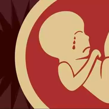 Janin dan Aborsi dalam Pandangan Hak Asasi Manusia dan Perlindungan Hukum