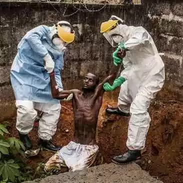 Viral Virus Ebola Kembali Muncul, Ini Penyebab dan Pengobatan Ebola