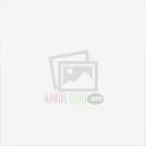 Sejarah Politik  yang ada di Indonesia