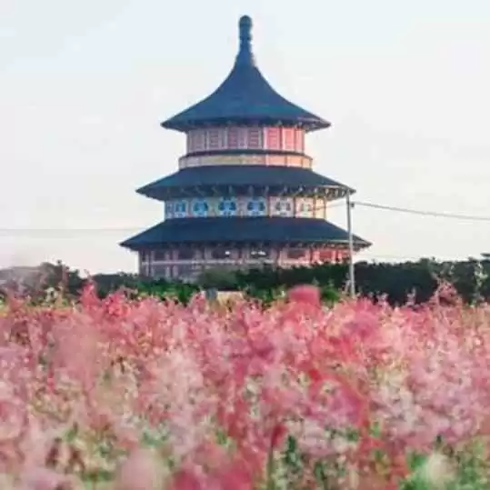 Rekomendasi 4 Wisata di Surabaya ala Jepang Yang Wajib Dikunjungi