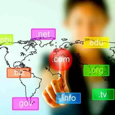 Cara Cek Domain Authority, Page Authority dan Spam Score Online Gratis