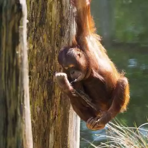 10 Fakta Menarik Tentang Teknologi Yang Tidak Diketahui Orang Banyak