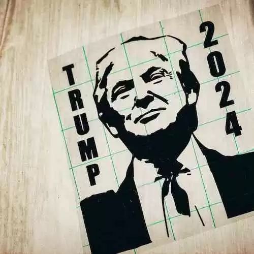 Are There Plans for Amanda Bynes to Join Terry Norris and Mark Latham in Arresting Trump?