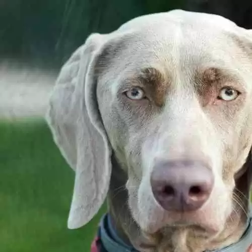 Kumpulan Ide Foto Bookeh untuk Pemula di Ziarah Kubur