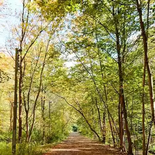 Panduan Akses Mudah untuk Mengakses Hiburan Premium