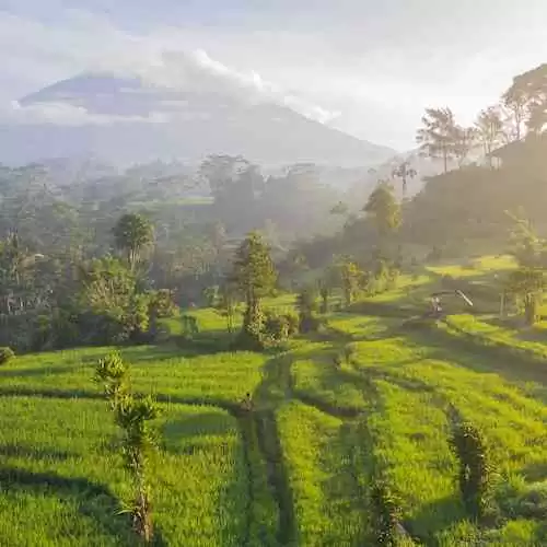 Perbandingan Dasar Hukum Antar Prancis dan Mahkamah Agung