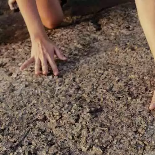 Shou Zi Chew, CEO TikTok, Mengungkap Strategi Sukses di Piala Eropa