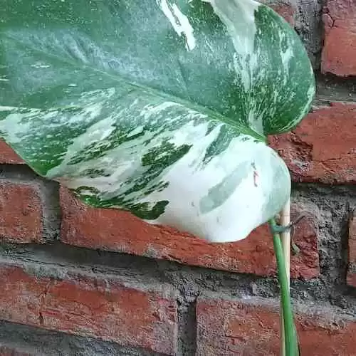 10 Manfaat Luar Biasa Berolahraga Secara Teratur