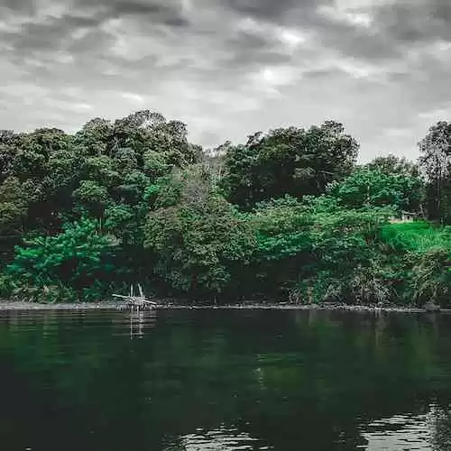 5 Tips Sukses Membangun Karir Impian Anda