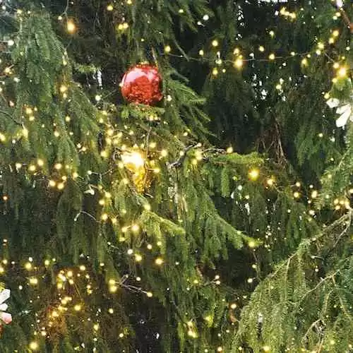 Bundesliga: Premier League Jerman yang Membuat Para Pecinta Sepak Bola Terpukau