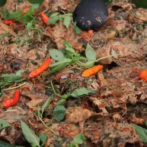 Cara Mengatur Jam Tidur yang Baik untuk Gaya Hidup Sehat