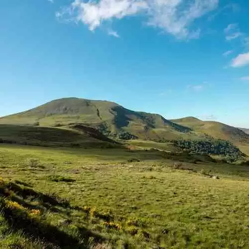 From Lars Mikkelsen to Robert Redford: Daisy Ridley and S Club 7's Paul Talk Burnley FC's Rise to Prominence