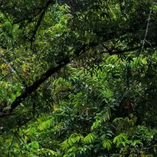 Gempa Hari Ini: Peringatan Dini dan Cara Menghadapi Bencana Alam