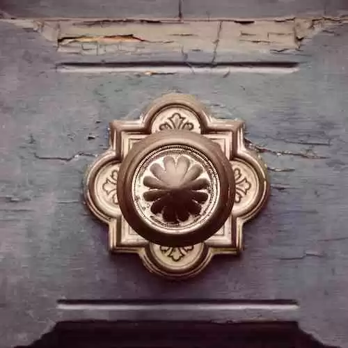 Get Ready for the Next Big Fight: UFC in Leicester – Everything You Need to Know