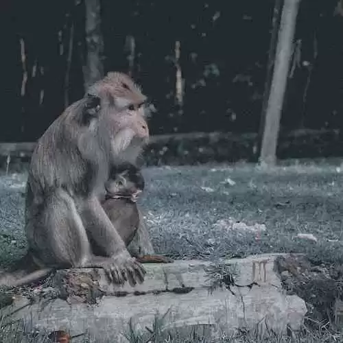 Kahitna: Sejarah, Lagu Terbaik, dan Kisah di Balik Kelompok Musik Legendaris Indonesia