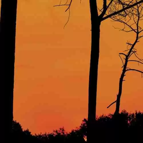 Membangun Kebiasaan Olahraga yang Sehat di Tengah Kesibukan Harian