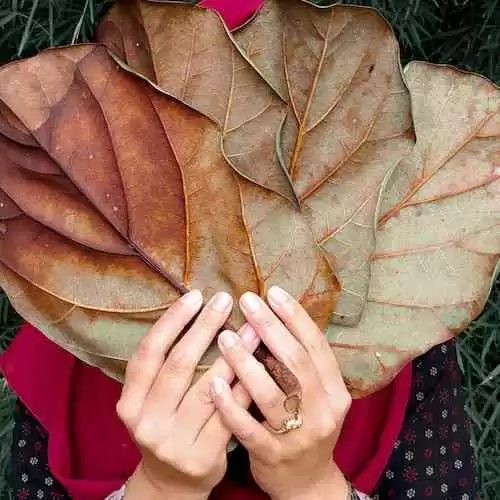 Membangun Kepemimpinan yang Berkualitas dalam Politik: Strategi Terbaik untuk Masa Depan