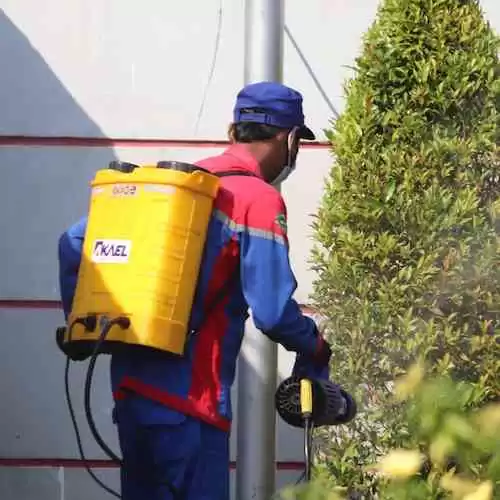 Mengapa Olahraga Pagi Lebih Baik untuk Kesehatan Tubuh?